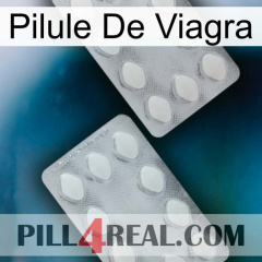 Viagra Pill 17